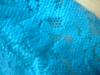 <img100*0:stuff/z/169023/Lacy%2520Blue%252023/i1259104166_21.jpg>