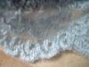 <img100*0:stuff/z/169023/Lacy%2520Powder%2520Blue%252024/i1259522115_5.jpg>