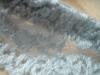 <img100*0:stuff/z/169023/Lacy%2520Powder%2520Blue%252024/i1259522116_12.jpg>