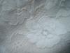<img100*0:stuff/z/169023/Lacy%2520White%252024/i1259522796_3.jpg>
