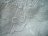 <img100*0:stuff/z/169023/Lacy%2520White%252024/i1259522797_11.jpg>