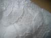 <img100*0:stuff/z/169023/Lacy%2520White%252024/i1259522797_17.jpg>
