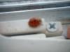 <img100*0:stuff/z/169023/Ladybug/i1263421697_1.jpg>