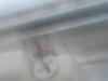 <img100*0:stuff/z/169023/Ladybug/i1263421697_3.jpg>