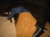 <img100*0:stuff/z/169023/Leather%252023/i1259628950_13.jpg>
