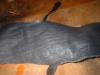 <img100*0:stuff/z/169023/Leather%252023/i1259628950_18.jpg>