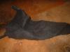 <img100*0:stuff/z/169023/Leather%2520Strips%252023/i1259629012_11.jpg>