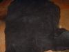 <img100*0:stuff/z/169023/Leather%2520Strips%252023/i1259629012_13.jpg>