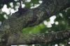<img100*0:stuff/z/169023/Leaves%2520in%2520the%2520Rain/i1277239541_5.jpg>