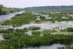 <img150*0:stuff/z/169023/Michigan%2520Marsh.4/i1277851746_22.jpg>