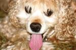 <img150*0:stuff/z/169023/Mitzie.1/i1278532715_12.jpg>