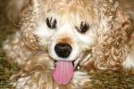 <img150*0:stuff/z/169023/Mitzie.1/i1278532716_18.jpg>