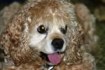 <img150*0:stuff/z/169023/Mitzie.1/i1278532717_26.jpg>
