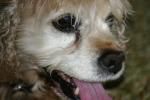 <img150*0:stuff/z/169023/Mitzie.2/i1278533114_7.jpg>