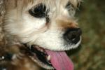 <img150*0:stuff/z/169023/Mitzie.2/i1278533115_13.jpg>