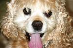 <img150*0:stuff/z/169023/Mitzie.2/i1278533115_15.jpg>