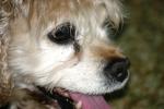 <img150*0:stuff/z/169023/Mitzie.2/i1278533116_25.jpg>