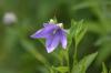 <img100*0:stuff/z/169023/More%2520Blue/i1278950796_11.jpg>