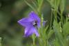 <img100*0:stuff/z/169023/More%2520Blue/i1278950796_15.jpg>