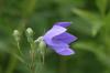 <img100*0:stuff/z/169023/More%2520Blue/i1278950796_19.jpg>