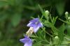 <img100*0:stuff/z/169023/More%2520Blue/i1278950796_35.jpg>
