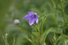 <img100*0:stuff/z/169023/More%2520Blue/i1278950796_6.jpg>