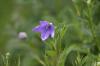 <img100*0:stuff/z/169023/More%2520Blue/i1278950797_40.jpg>