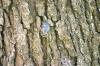 <img100*0:stuff/z/169023/Mushroom%2520Stock.1/i1277154507_28.jpg>