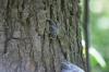 <img100*0:stuff/z/169023/Mushroom%2520Stock.1/i1277154508_32.jpg>