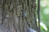 <img100*0:stuff/z/169023/Mushroom%2520Stock.1/i1277154508_38.jpg>