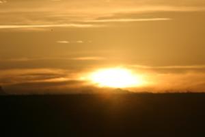 <img300*0:stuff/z/169023/Nevada%2520Sunset/i1283884136_22.jpg>