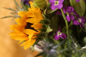 <img300*0:stuff/z/169023/Nio%2527s%2520Assorted%2520Flowers/i1304371515_1.jpg>