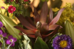 <img300*0:stuff/z/169023/Nio%2527s%2520Assorted%2520Flowers/i1304371515_3.jpg>