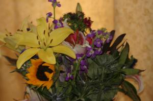 <img300*0:stuff/z/169023/Nio%2527s%2520Assorted%2520Flowers/i1304371515_4.jpg>