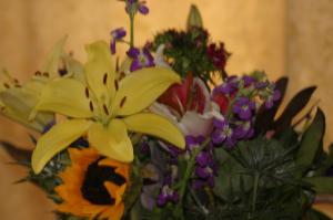 <img300*0:stuff/z/169023/Nio%2527s%2520Assorted%2520Flowers/i1304371515_7.jpg>