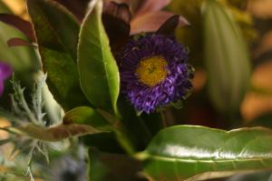 <img300*0:stuff/z/169023/Nio%2527s%2520Assorted%2520Flowers/i1304371516_11.jpg>