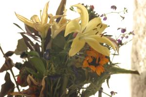 <img300*0:stuff/z/169023/Nio%2527s%2520Assorted%2520Flowers/i1304371516_16.jpg>