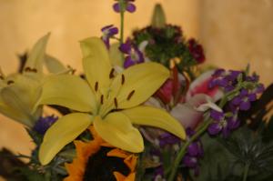 <img300*0:stuff/z/169023/Nio%2527s%2520Assorted%2520Flowers/i1304371516_18.jpg>
