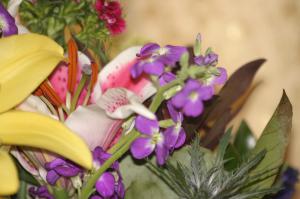<img300*0:stuff/z/169023/Nio%2527s%2520Assorted%2520Flowers/i1304371517_24.jpg>