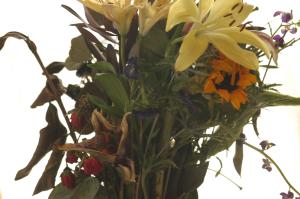 <img300*0:stuff/z/169023/Nio%2527s%2520Assorted%2520Flowers/i1304371517_25.jpg>