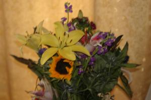 <img300*0:stuff/z/169023/Nio%2527s%2520Assorted%2520Flowers/i1304371517_27.jpg>