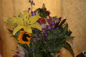 <img300*0:stuff/z/169023/Nio%2527s%2520Assorted%2520Flowers/i1304371518_30.jpg>