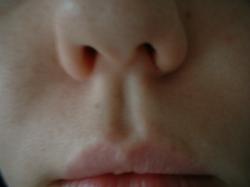 <img250*0:stuff/z/169023/Nose%2520Stock/i1256079647_10.jpg>