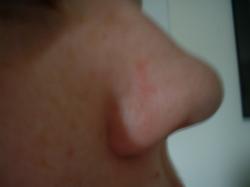 <img250*0:stuff/z/169023/Nose%2520Stock/i1256079647_13.jpg>