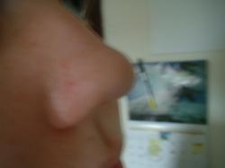 <img250*0:stuff/z/169023/Nose%2520Stock/i1256079647_14.jpg>