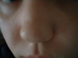 <img250*0:stuff/z/169023/Nose%2520Stock/i1256079647_20.jpg>