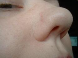 <img250*0:stuff/z/169023/Nose%2520Stock/i1256079647_21.jpg>