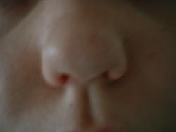 <img250*0:stuff/z/169023/Nose%2520Stock/i1256079647_3.jpg>