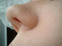 <img250*0:stuff/z/169023/Nose%2520Stock/i1256079647_4.jpg>