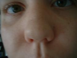 <img250*0:stuff/z/169023/Nose%2520Stock/i1256079647_7.jpg>